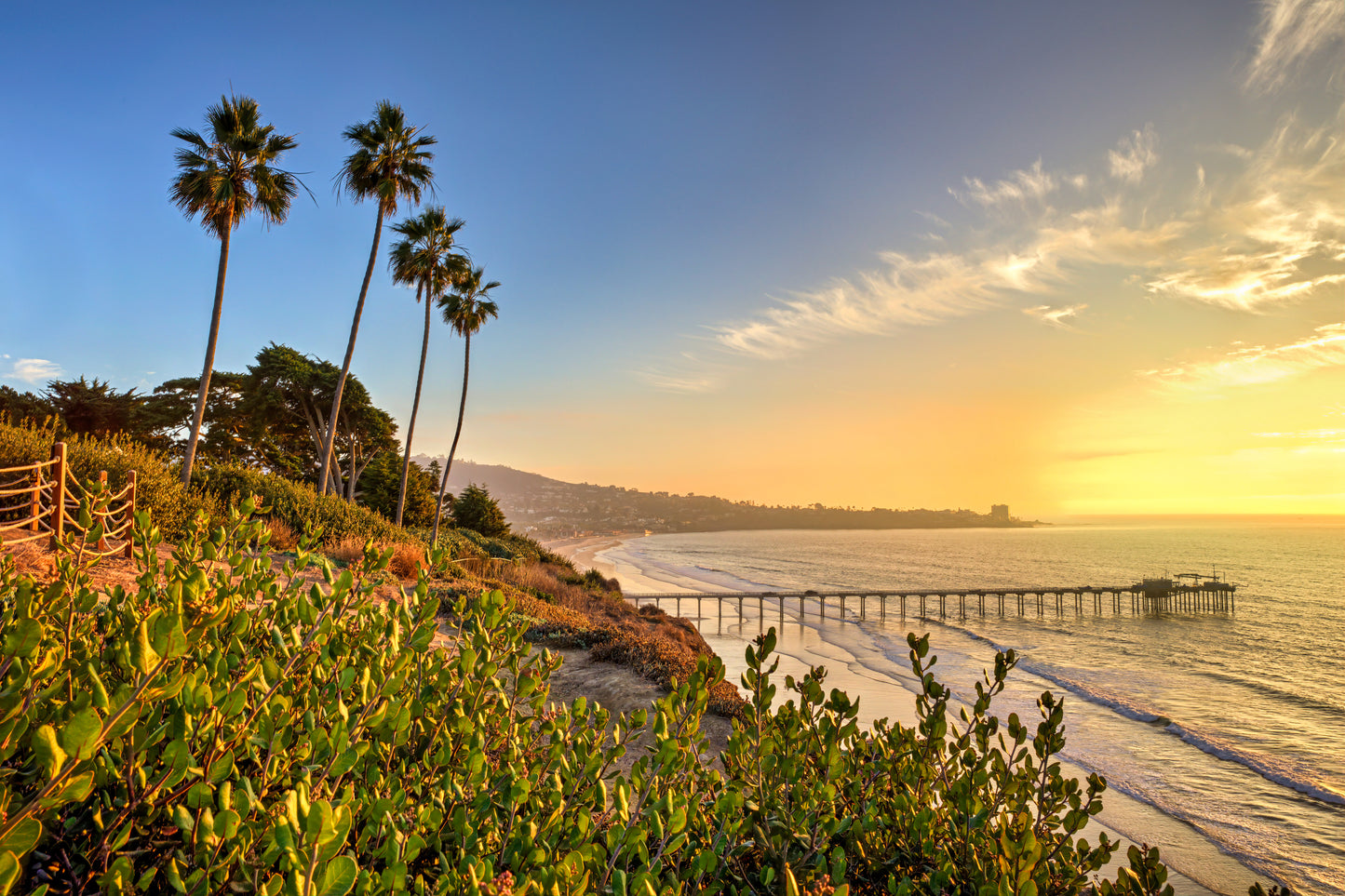 Scripps Glow