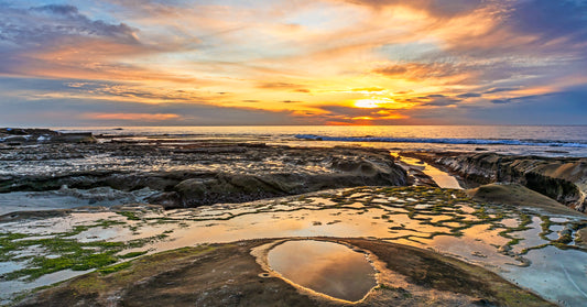 Tidal Gold