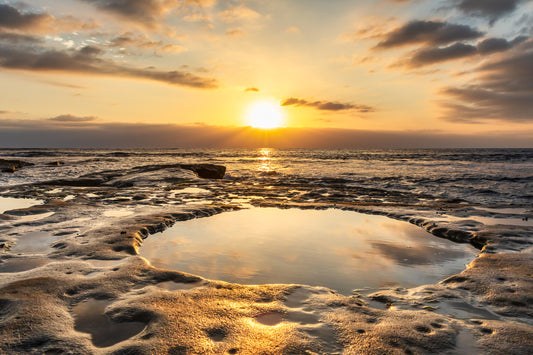 Golden Tidepool