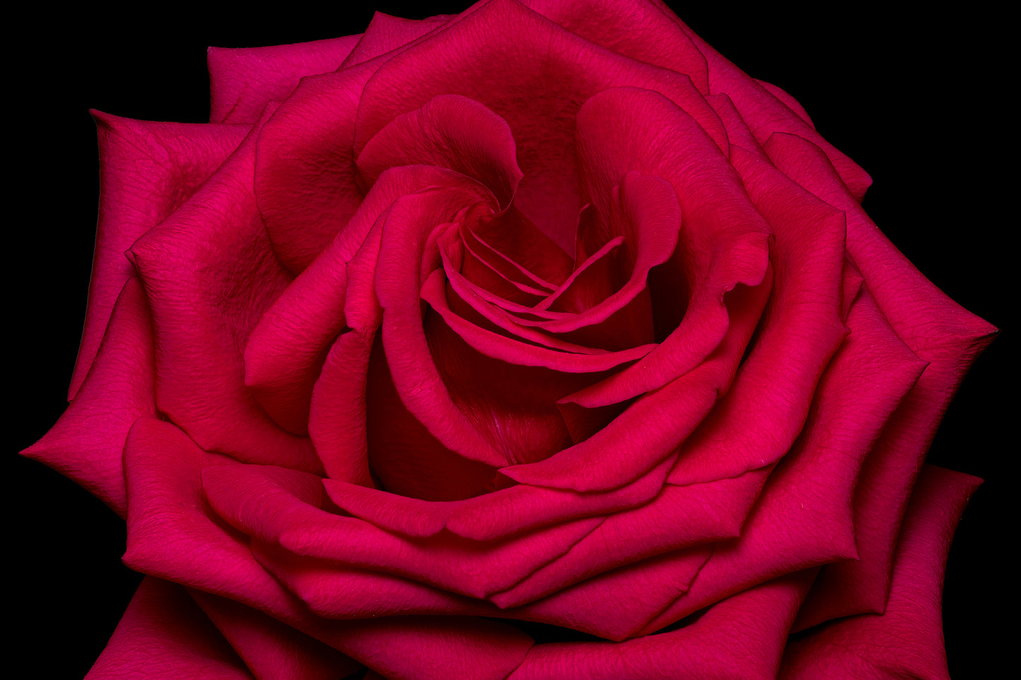 Velvet Crimson