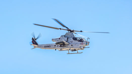 Guardian in Flight