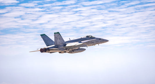 U.S. Marine Corps F/A-18 Hornet from VMFA-101, the “Sharpshooters.”