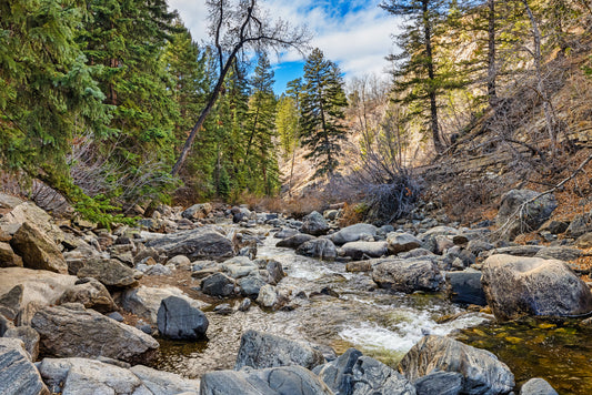 Rocky Mountain Creek Flow