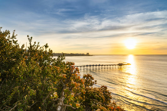 Golden Light – La Jolla