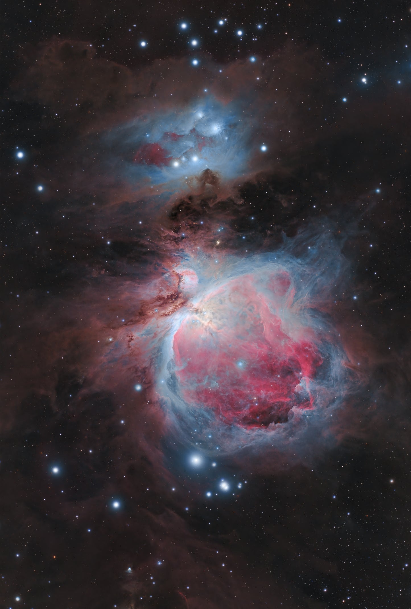 Orion Nebula