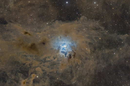 Iris Nebula