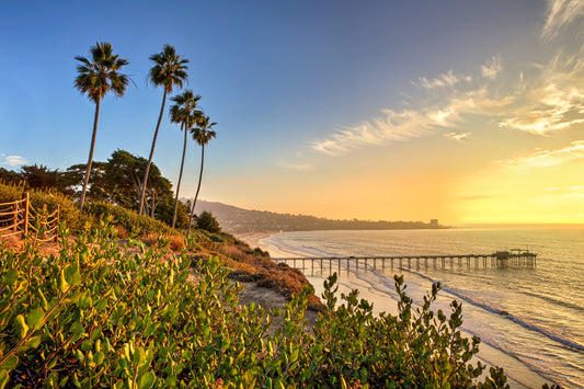 Scripps Glow